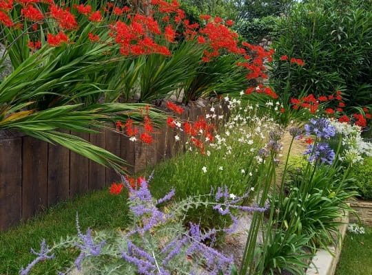 Aménagement d'un jardin fleuri sur Saint-Jean-de-Luz avec entrée, massifs fleuris et piscine.