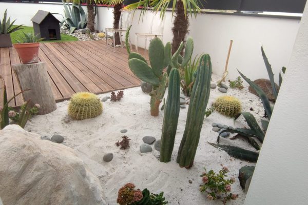 Réaménagement complet d'un jardin sur le thème de la Polynésie à Anglet.