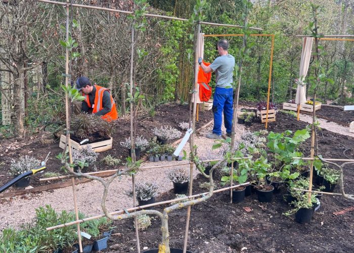 Chantier Chaumont-sur-Loire 2026 Parcelle 25 Chantier Chaumont-sur-Loire 2026 Parcelle 25